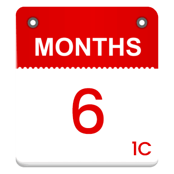 6 Months